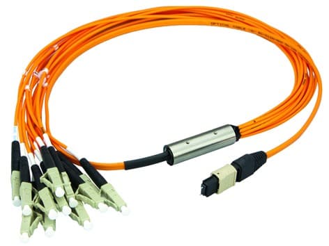 Telegartner L00830A0024 MPO Harness OM2 12LC MM 1.0m