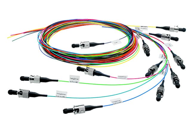 Telegaertner L00819A0064 Fiber Pigtail Set, 12 x E9/125 OS2, ST, 2m