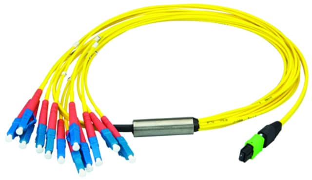 Telegaertner L00830A0032 MPO/MTP® APC OS2 Harness, 12x LC/PC, 1 m